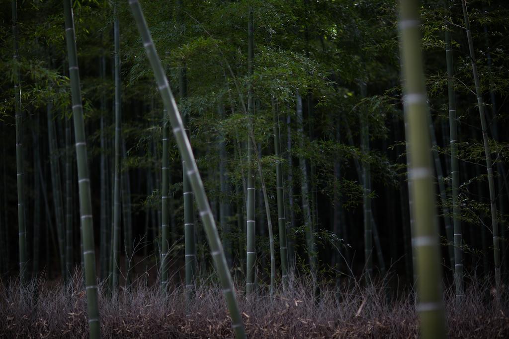 Kyoto Fushimi Ohana Muko Exteriör bild